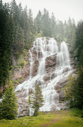 water falls in the forest